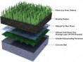 /album/green-roofs/detail-gr-jpg/